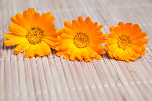 Foto fiore giallo su stuoia di bambù