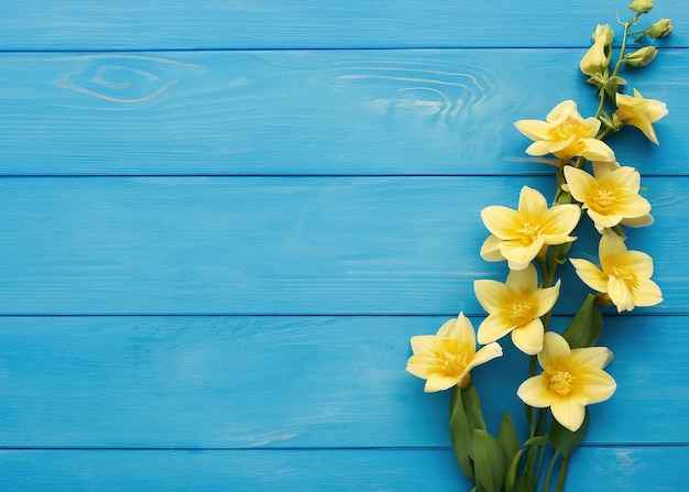 Yellow flower on blue wooden background from top view