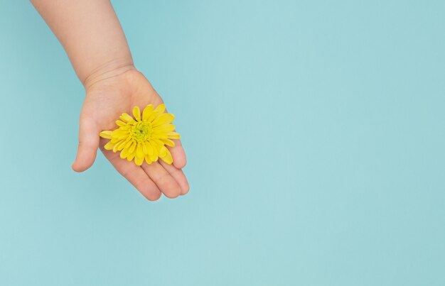 The yellow flower in childs hands on blue