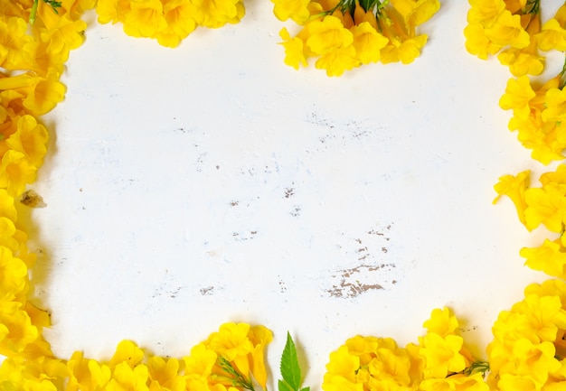 Yellow flower framed background