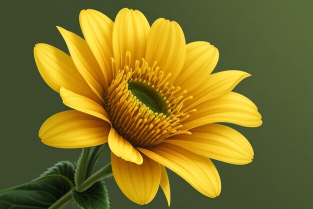 A yellow flower on a green background