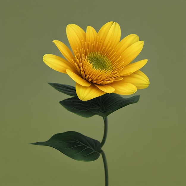 A yellow flower on a green background