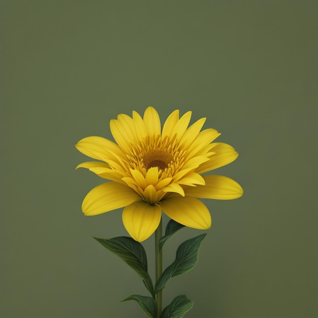 A yellow flower on a green background