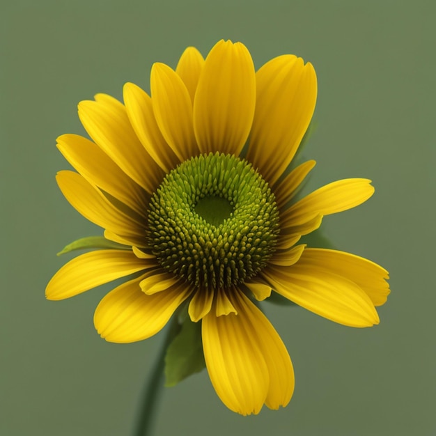 A yellow flower on a green background