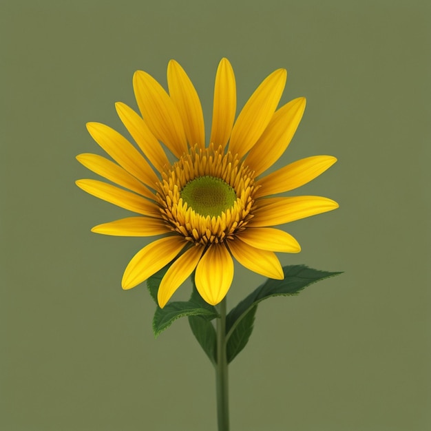 A yellow flower on a green background