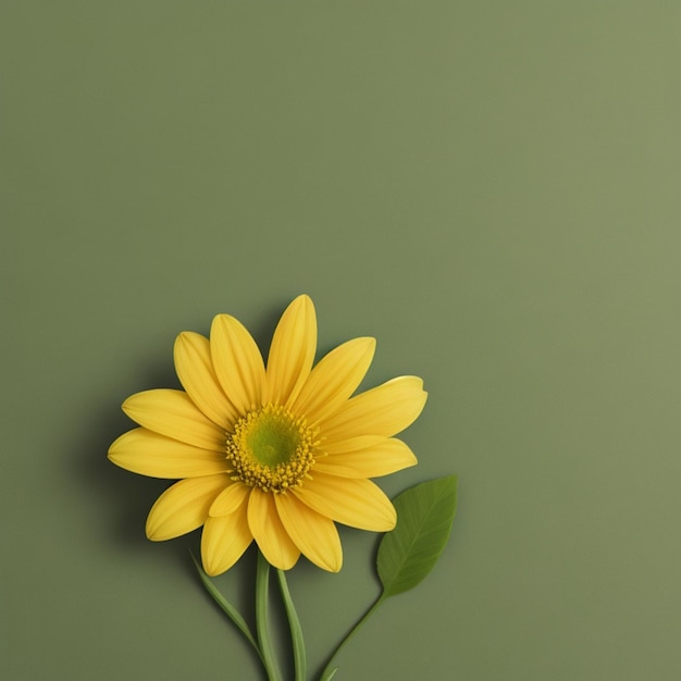 A yellow flower on a green background