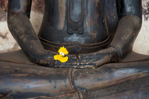 Yellow Flower in hand of image Buddha