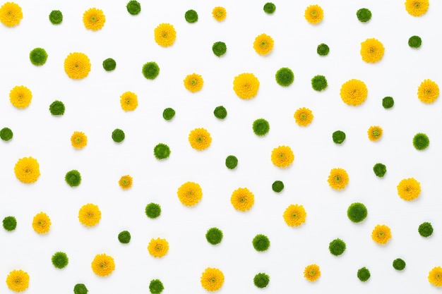 Modello di fiore giallo su un bianco gerbera fiori primaverili disposti