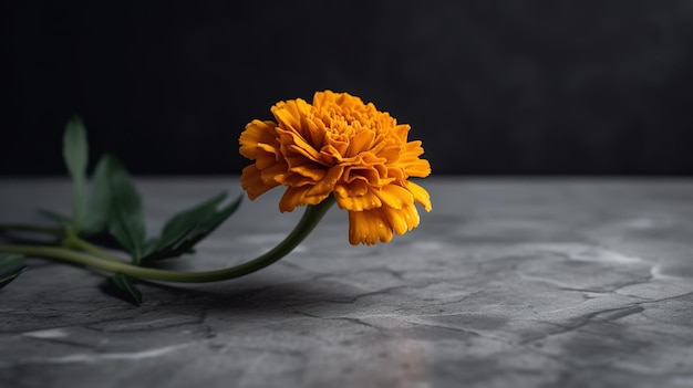 A yellow flower on a table with a dark background