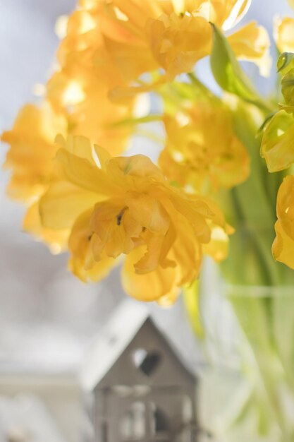 Photo yellow flower tulip in vase