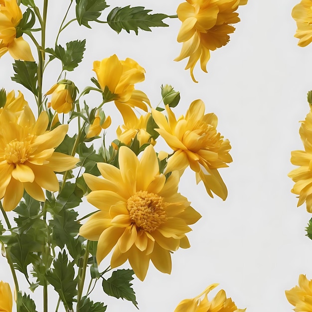 Yellow flower on a white background