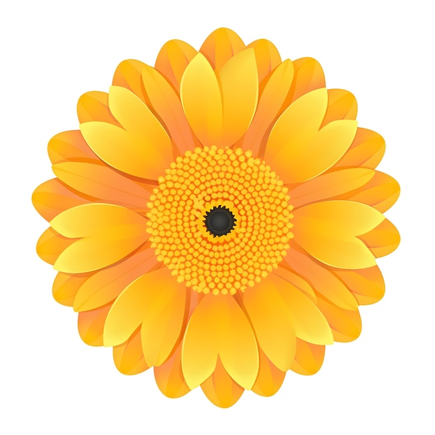 A yellow flower with a black center