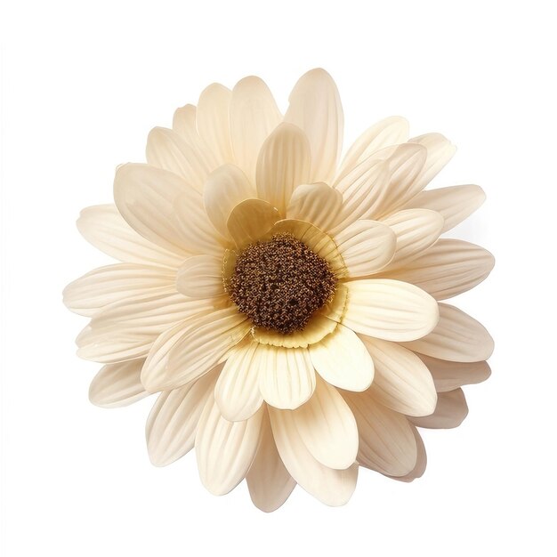 Premium Photo A yellow flower with a brown center and the center of