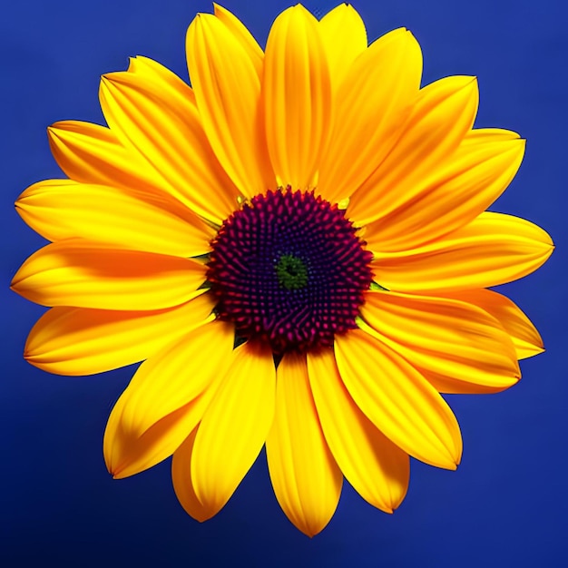 보라색 중앙에 "파란색 점"이라고 적힌 노란색 꽃.