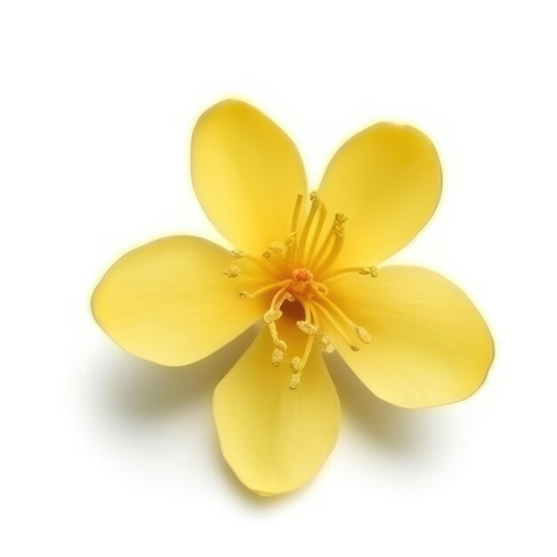 A yellow flower with a yellow flower on it