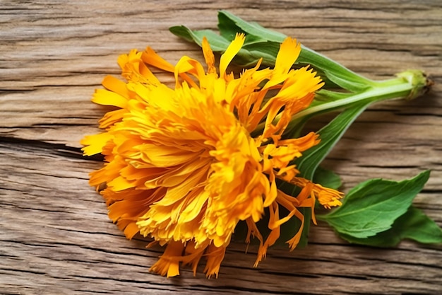 a yellow flower on a wooden table