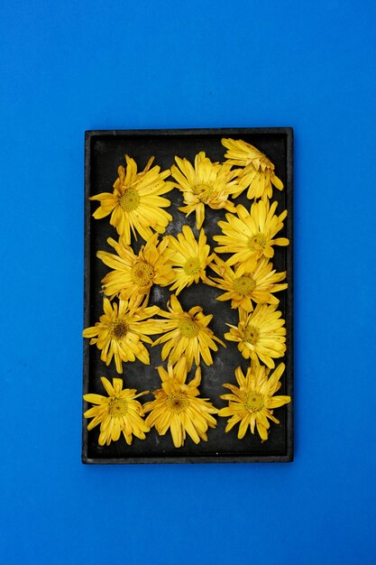 Yellow flowers in a black box on blue background