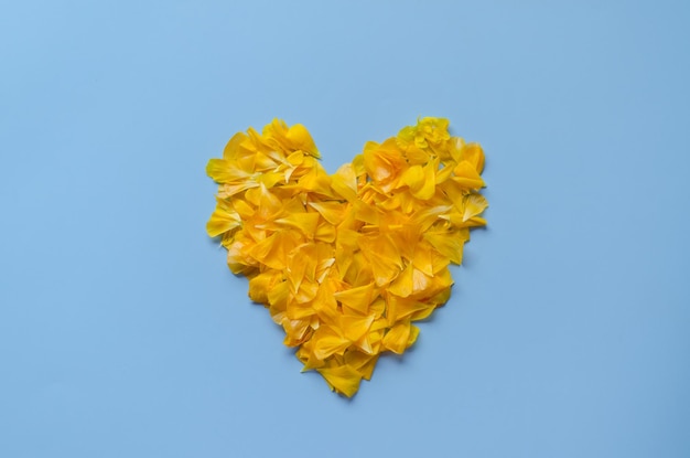 yellow flowers on blue background. Heart. Heart shaped. Holiday background. Ukrainian flag colors.