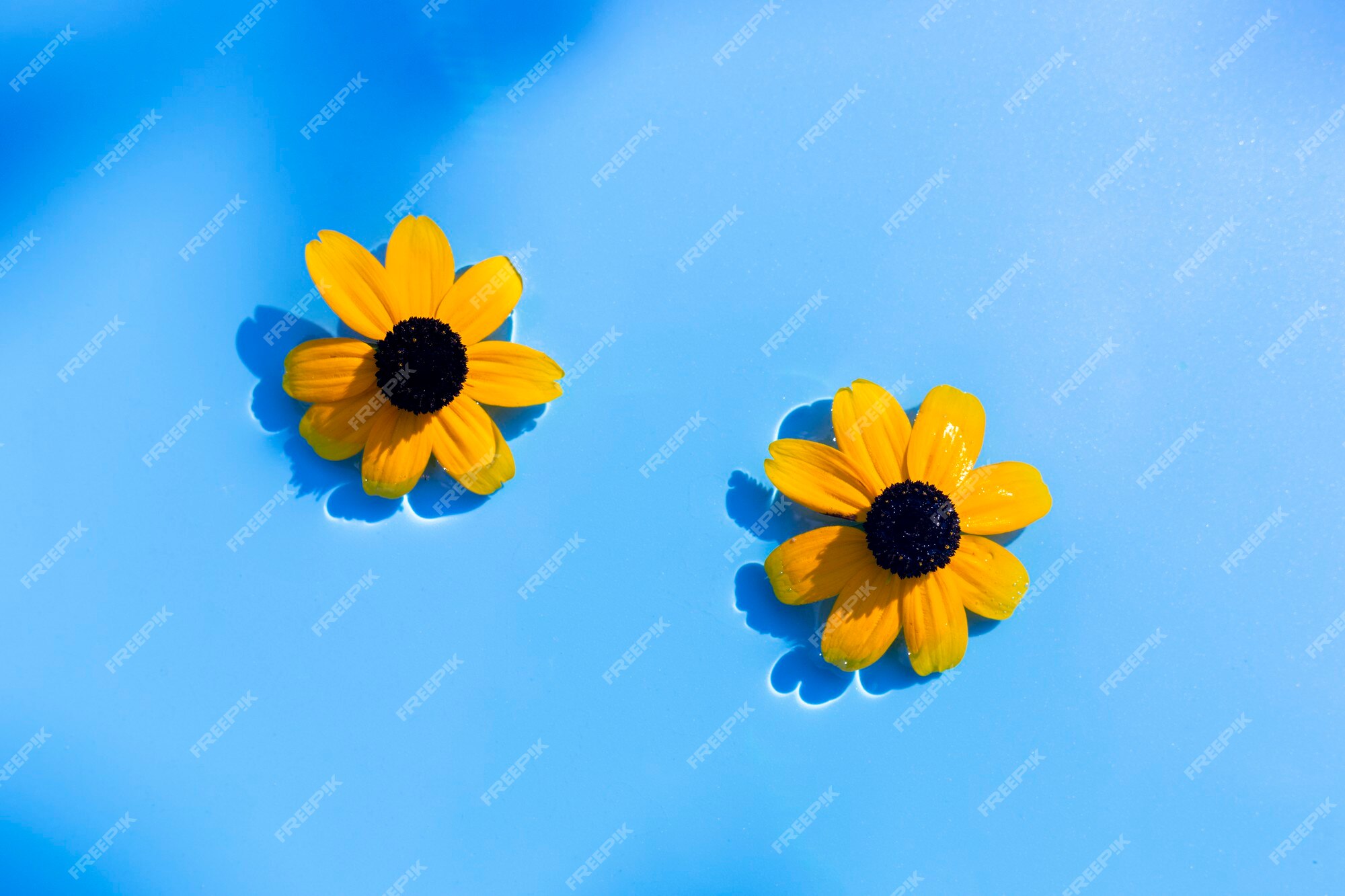 Premium Photo | Yellow flowers on a blue water background under natural  light. top view, flat lay.