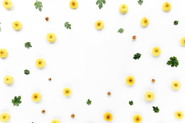 yellow flowers branches leaves and petals isolated on white background flat lay overhead view