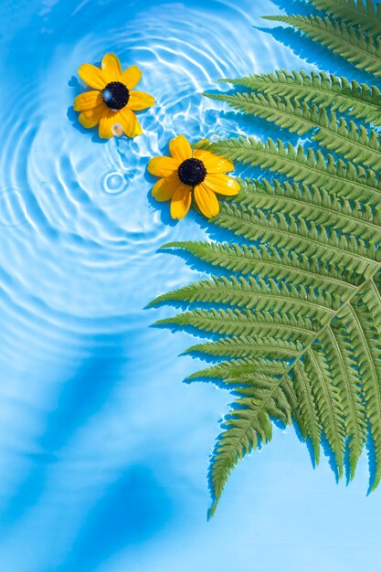 Yellow flowers, fern leaf on a blue water background under natural light. Top view, flat lay.