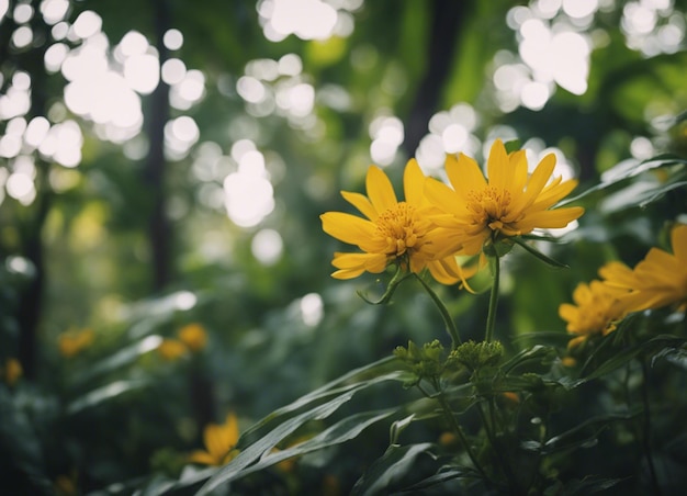 Photo a yellow flowers garden