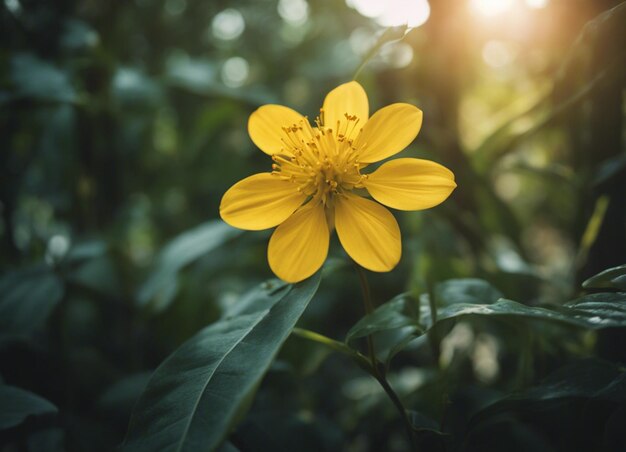 Photo a yellow flowers garden