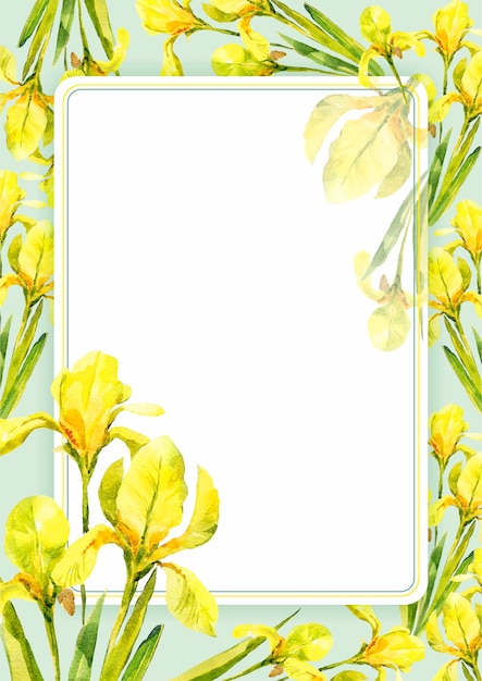 黄色い花菖蒲水彩イラスト夏の花ヴィンテージ葉緑の花