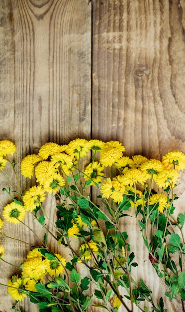 Yellow flowers on an old brown wooden background.Autumn little chrysanthemums. Empty space for the text.
