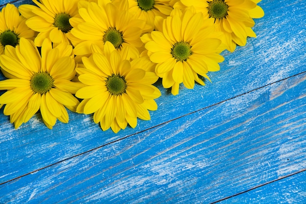 Yellow Flowers over painted wooden background for text