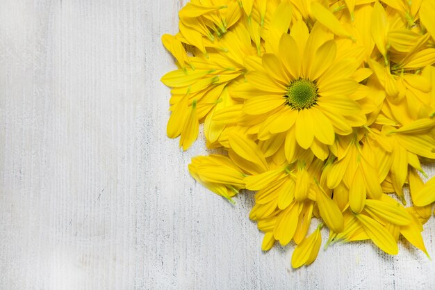 Fiori gialli su sfondo di legno dipinto per il testo