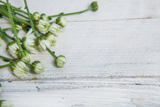 Fiori gialli su sfondo di legno dipinto per il testo