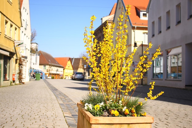 Foto fiori gialli sulla strada in mezzo agli edifici della città