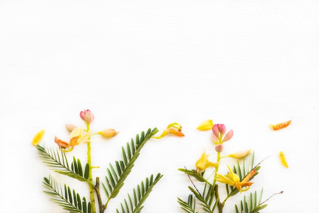 Photo yellow flowers tamarind arrangement flat lay postcard style