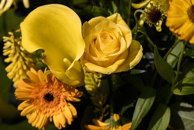 Yellow flowers in a vase on a garden table