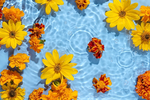 Yellow  flowers on water surface. Beautiful water ripple background for product presentation. Copy space