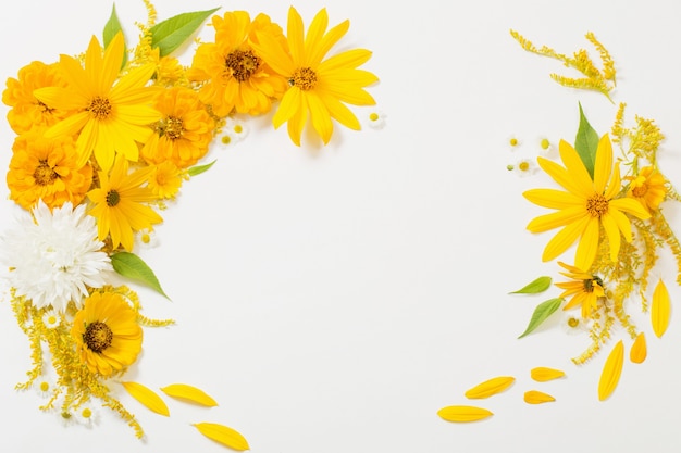 Yellow flowers on white background