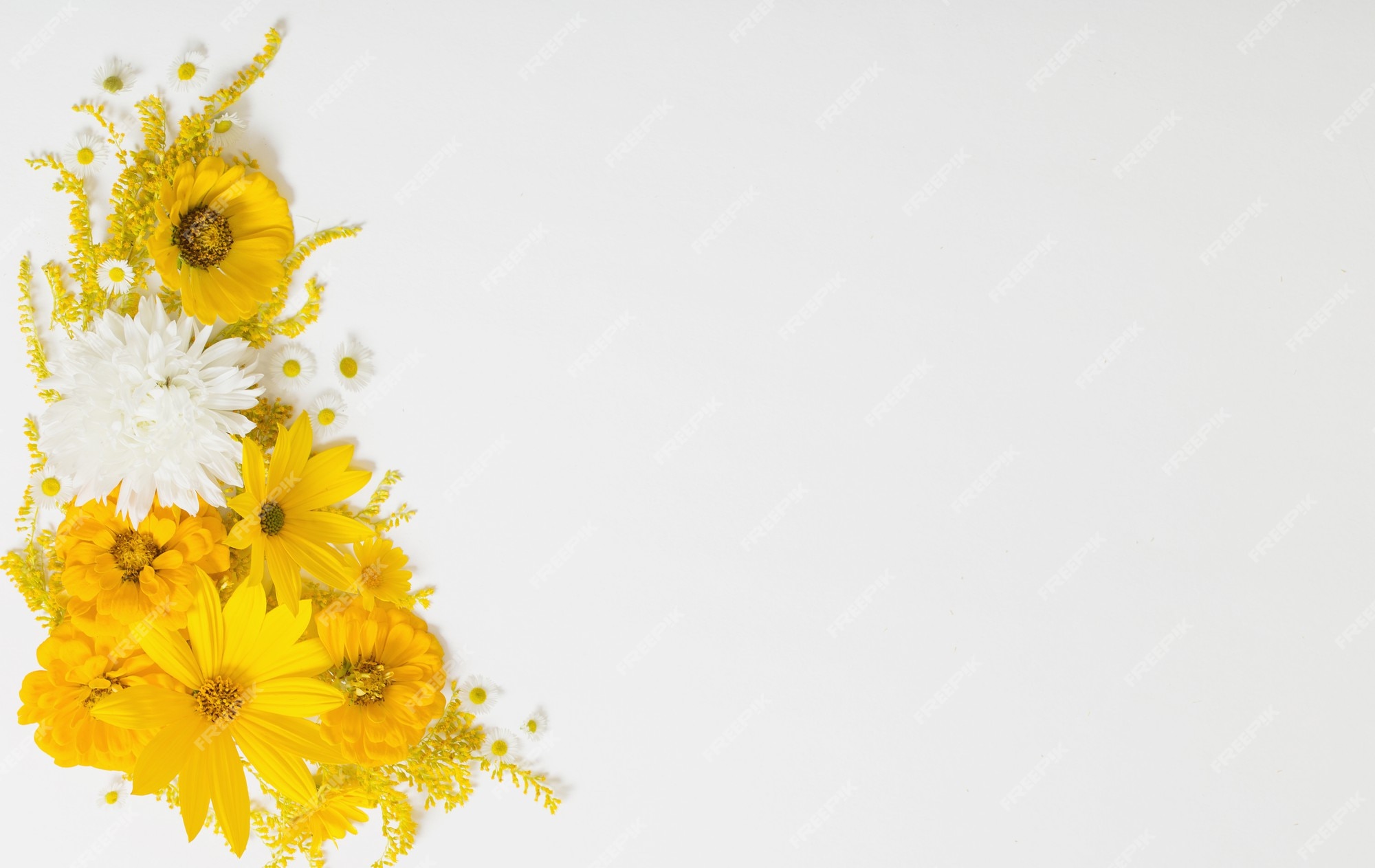 Premium Photo | Yellow flowers on white background