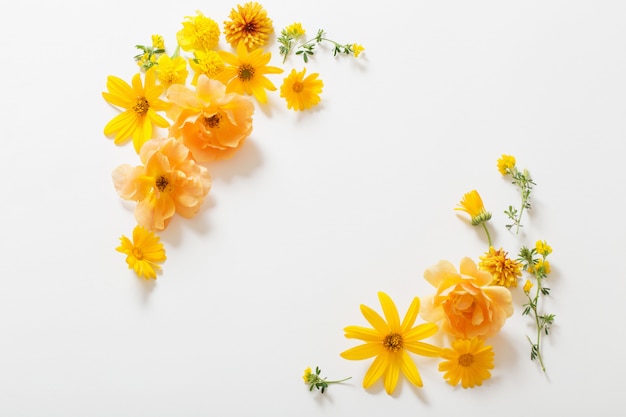 Yellow  flowers on white wall