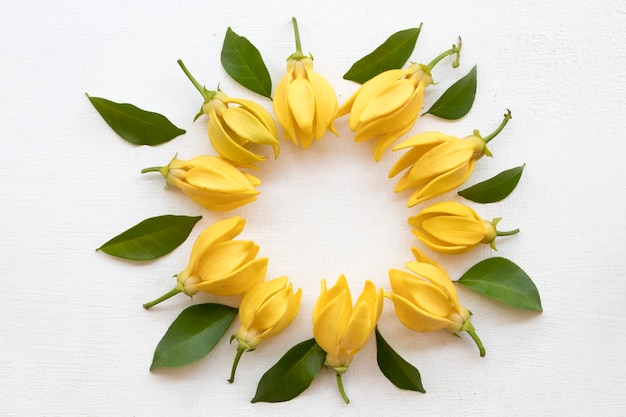 yellow flowers ylang arrangement circle postcard style