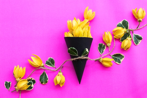 Фото Желтые цветы иланг-иланг на розовом