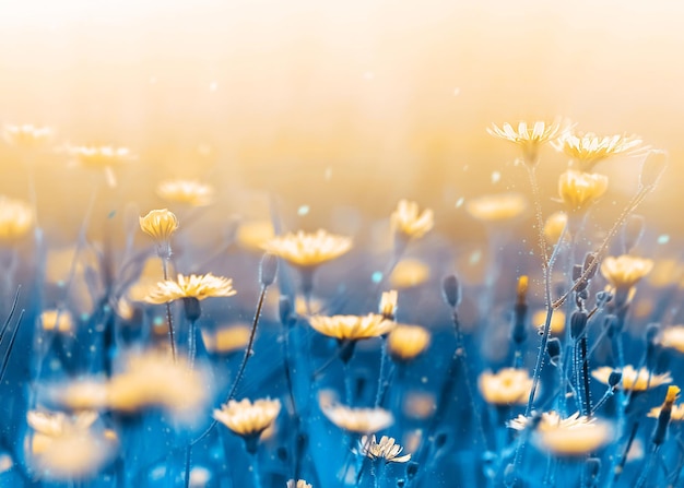 Yellow forest flowers on a background of blue leaves and stems