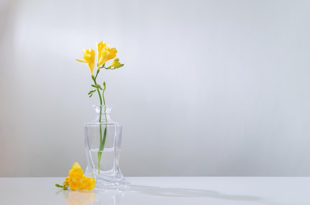 白い背景の上のガラスの花瓶に黄色のフリージア