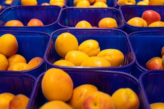 Prugna deliziosa fresca gialla in scatole di plastica blu al mercato dell'alimento. può essere usato per l'agricoltura, vista frontale.