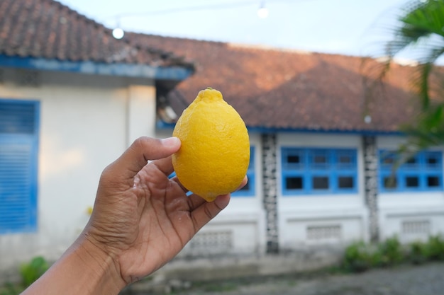 Yellow fresh lemon orange photo