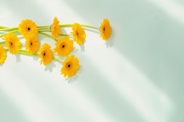 緑の紙の背景に黄色いゲルベラの花