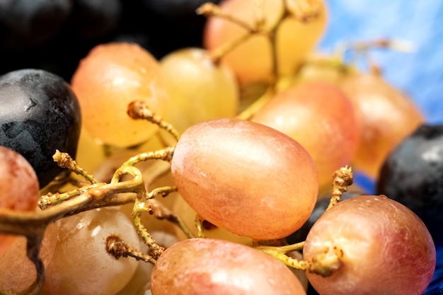 Yellow grape berries with water drops close up