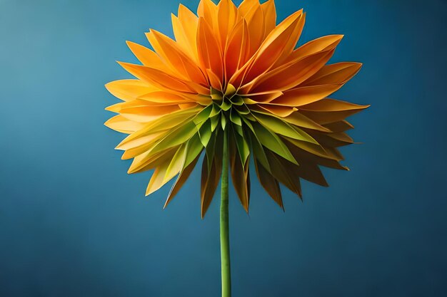 A yellow and green flower with the green and yellow petals