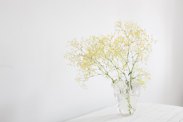 白い部屋のガラスの花瓶に黄色のカスミソウ