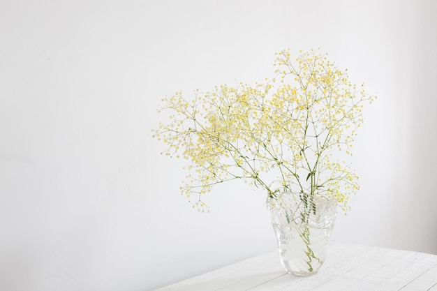 Yellow gypsophila in glass vase in white room